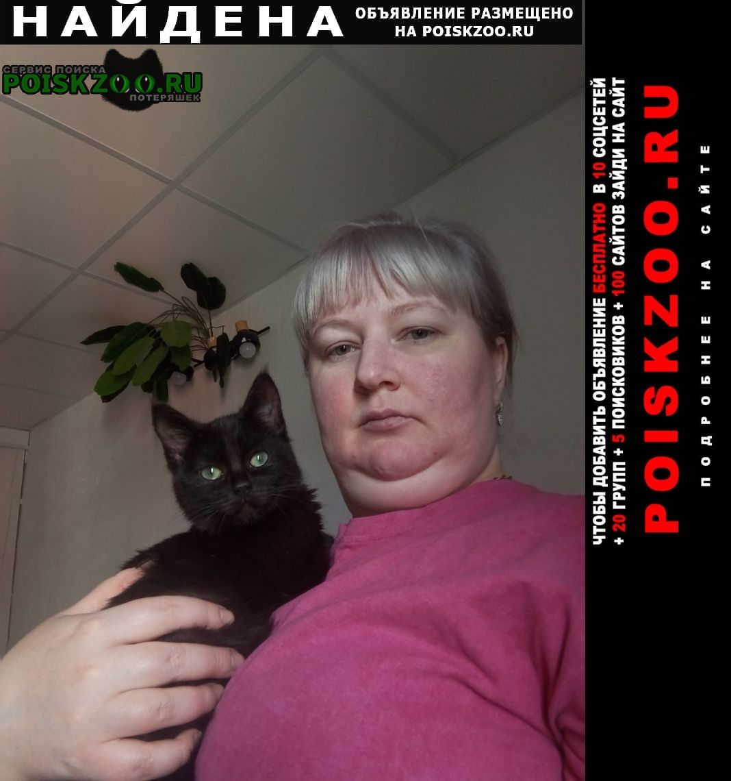 ���� ������� ����� ���������� ���������