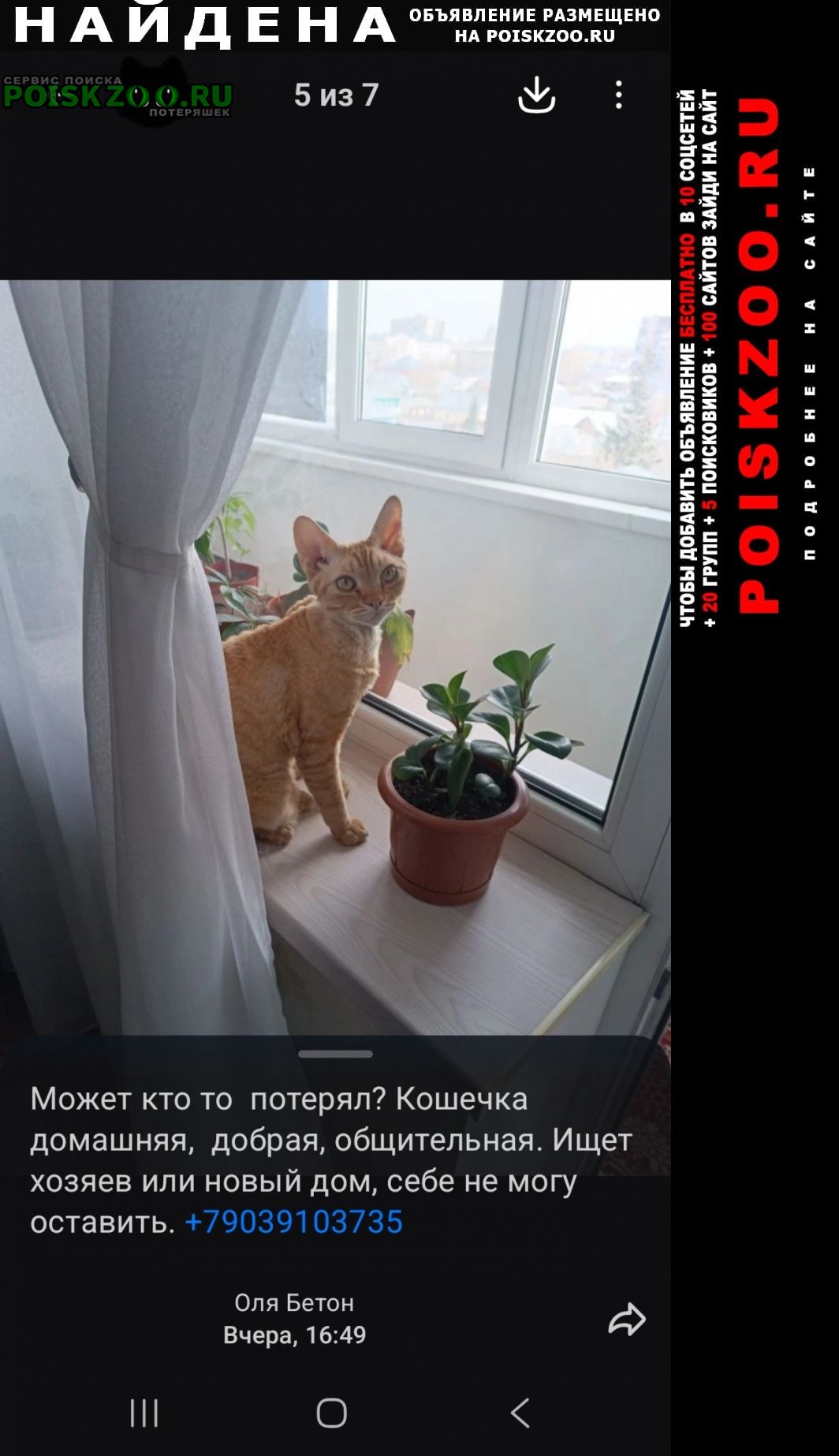 ���� ������� ����� ��� ��� �� ������