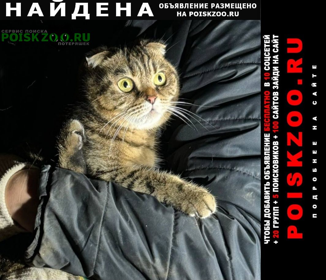 ���� ������� ����� � ���. �������� ��