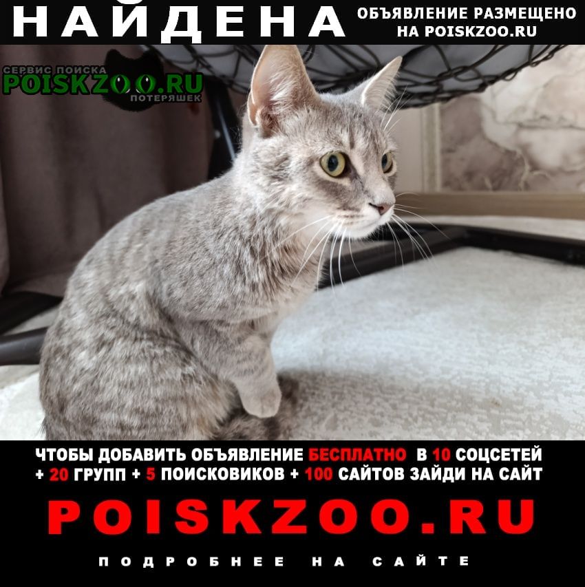 ���� ������� ����� ��������