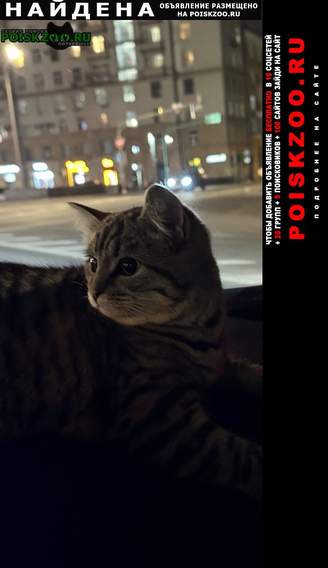 ���� ������� ����� � ������ ��������������� �����