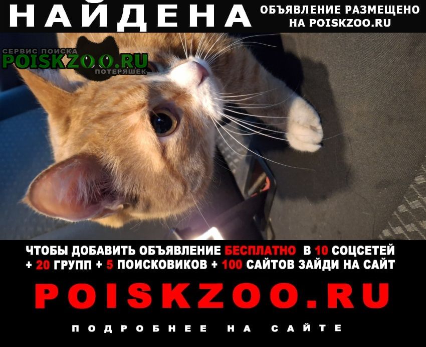 ���� �������� ����� ���� ������ ������ ������