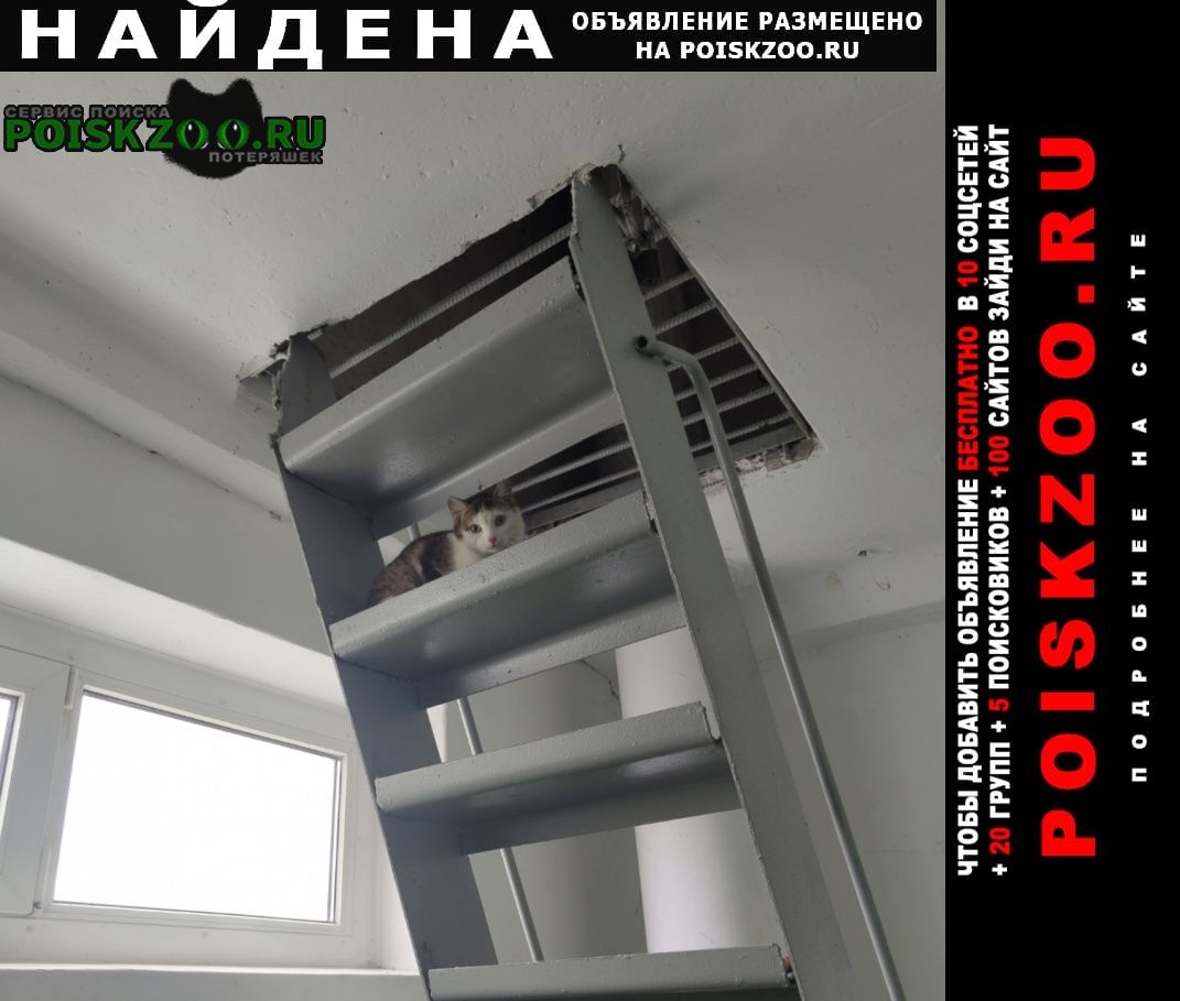 ���� ������� ����� ����-����� � �����-���������