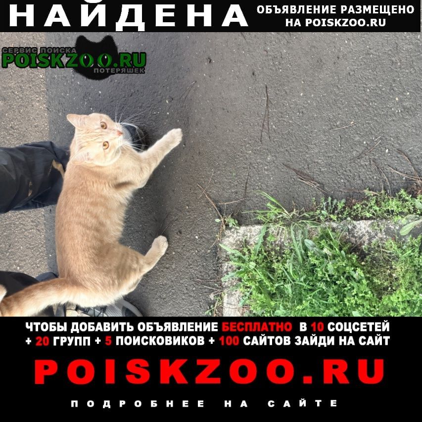 ���� ������ ��� ����� � ������� ���������