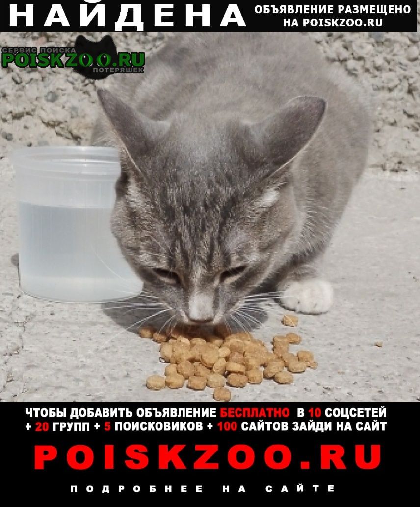 ���� ������ ���