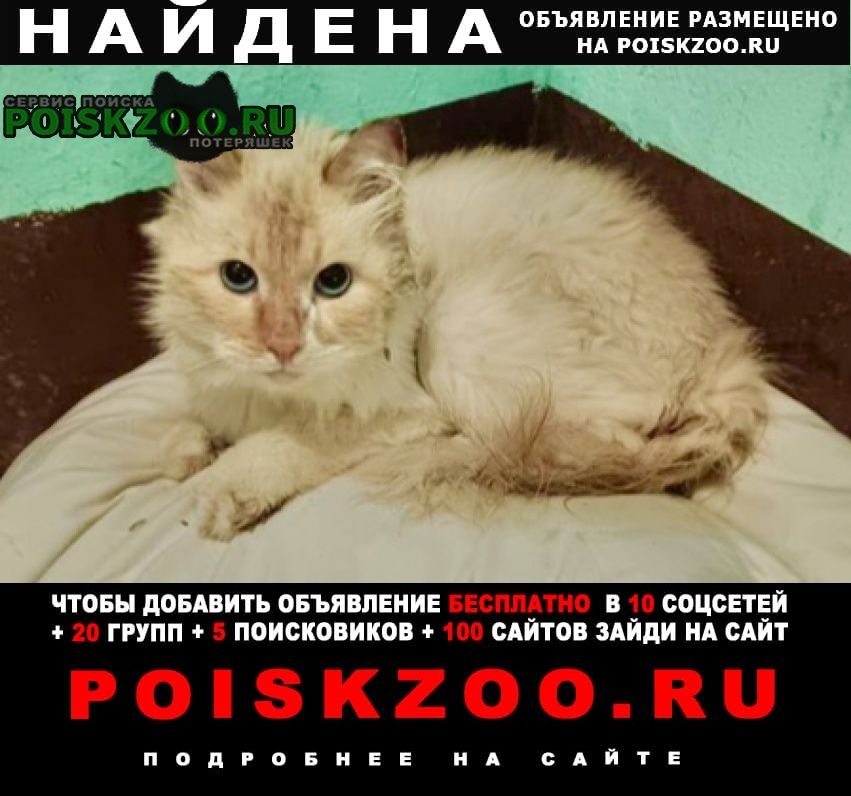 ���� ������ ��� ������������