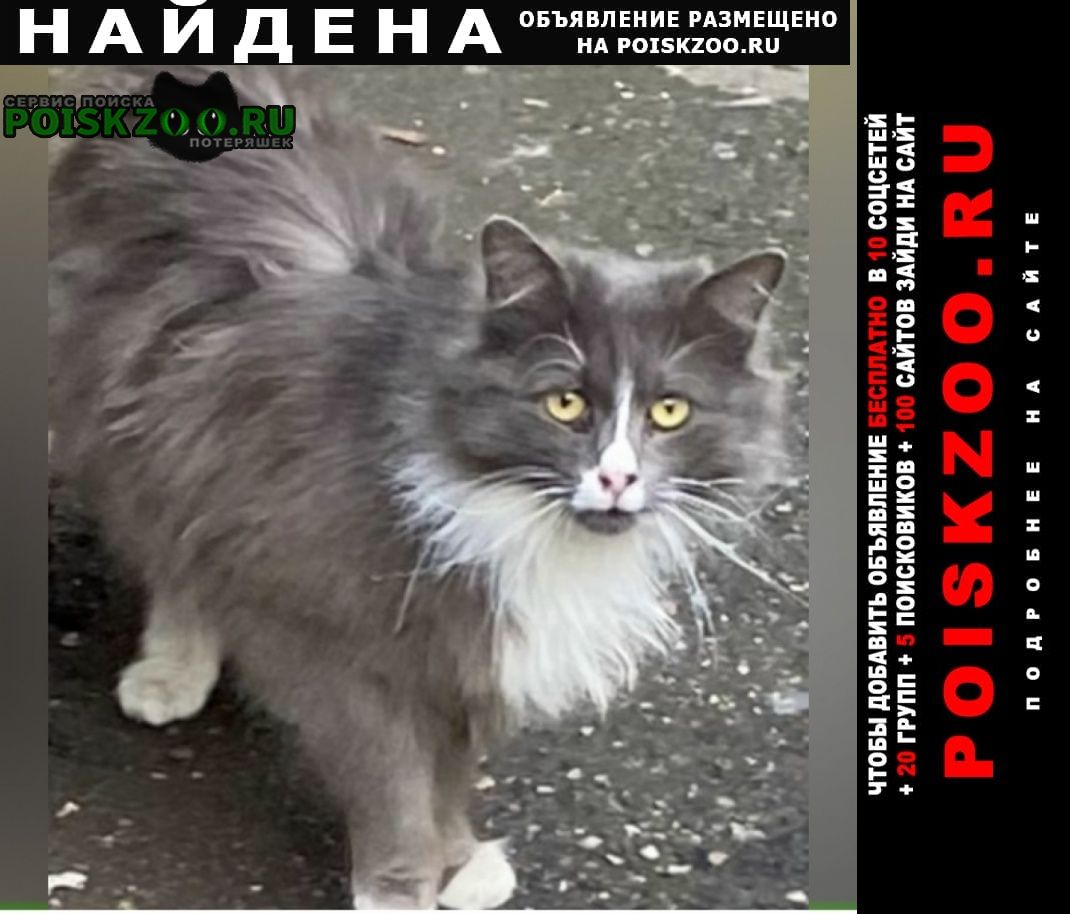 ���� ������� ����� ��� ��� ��������