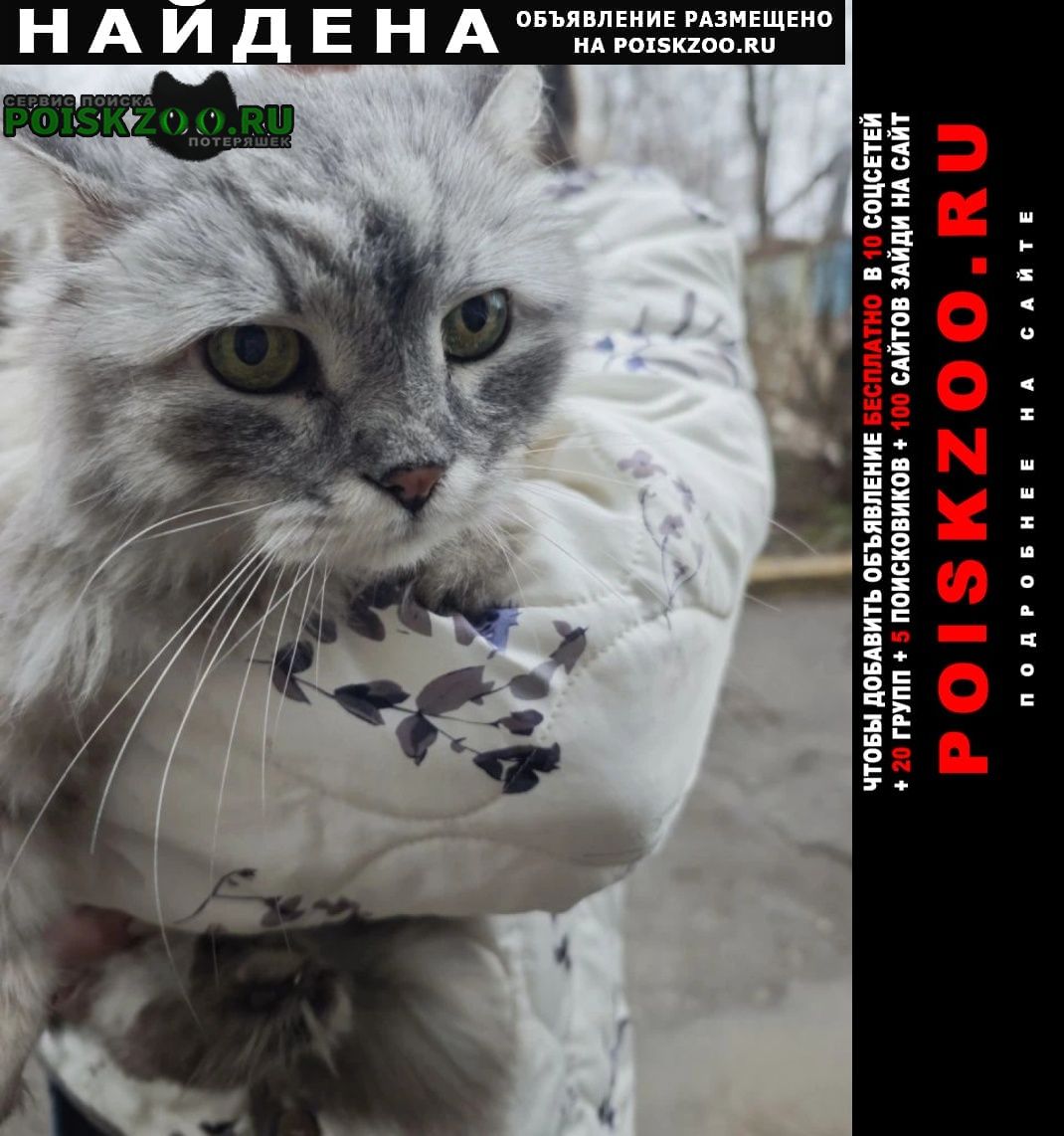 ���� ������� ����� �� �� ��������, ������ ��������