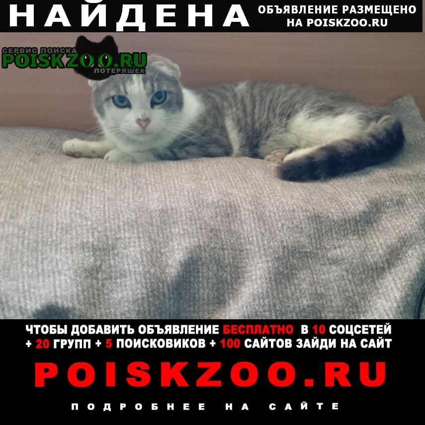 ���� ������ ��� �������� �������. ���� �������