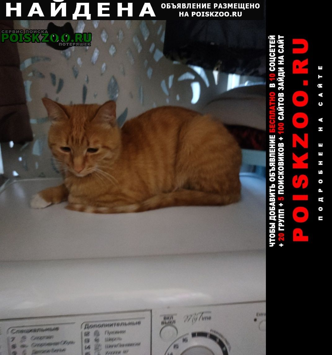 ���� ������ ��� ����������, ����������