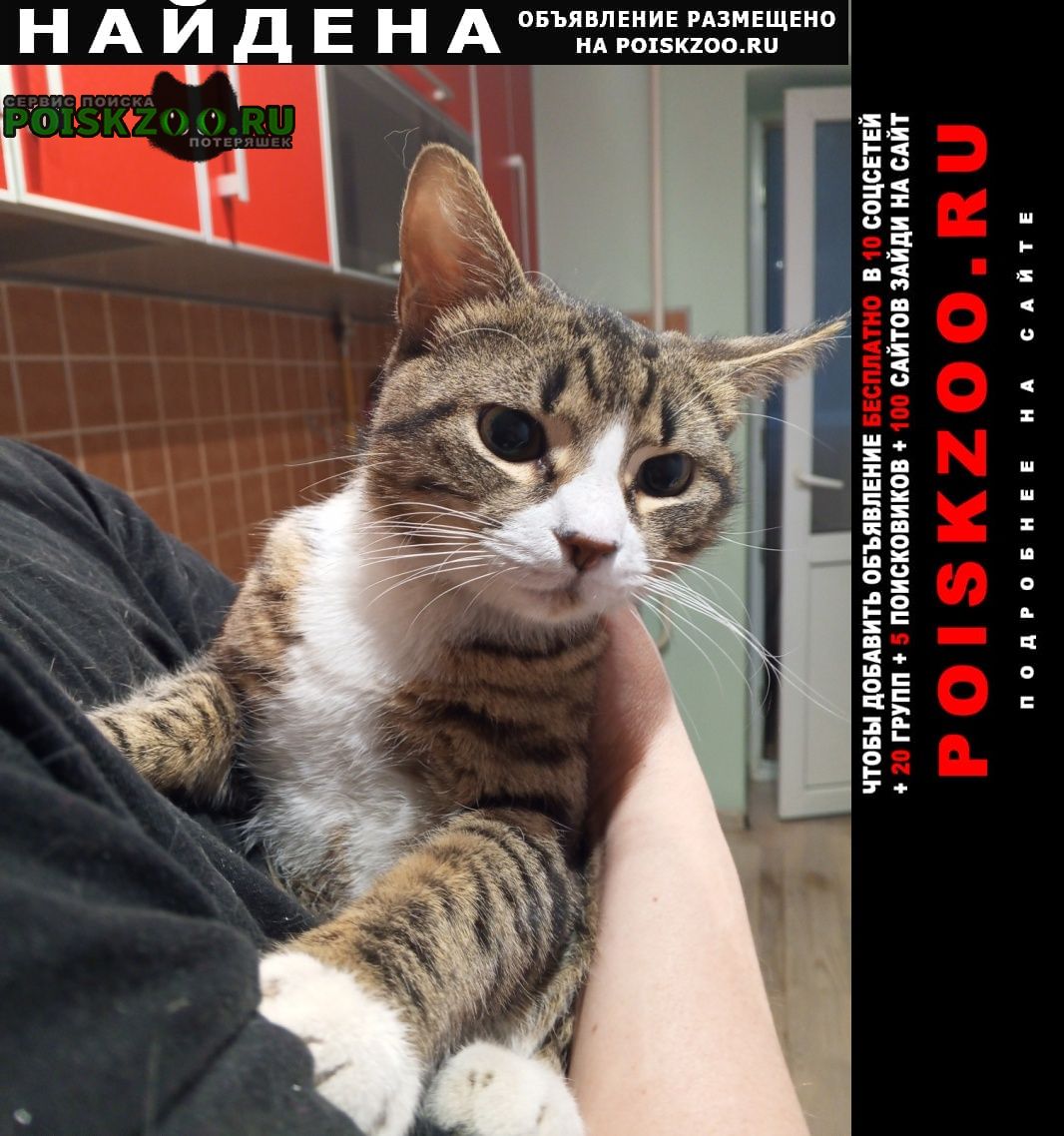 ���� ������ ���