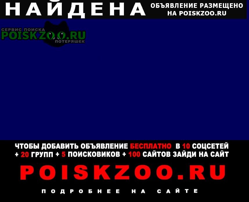 ���� ������ ���