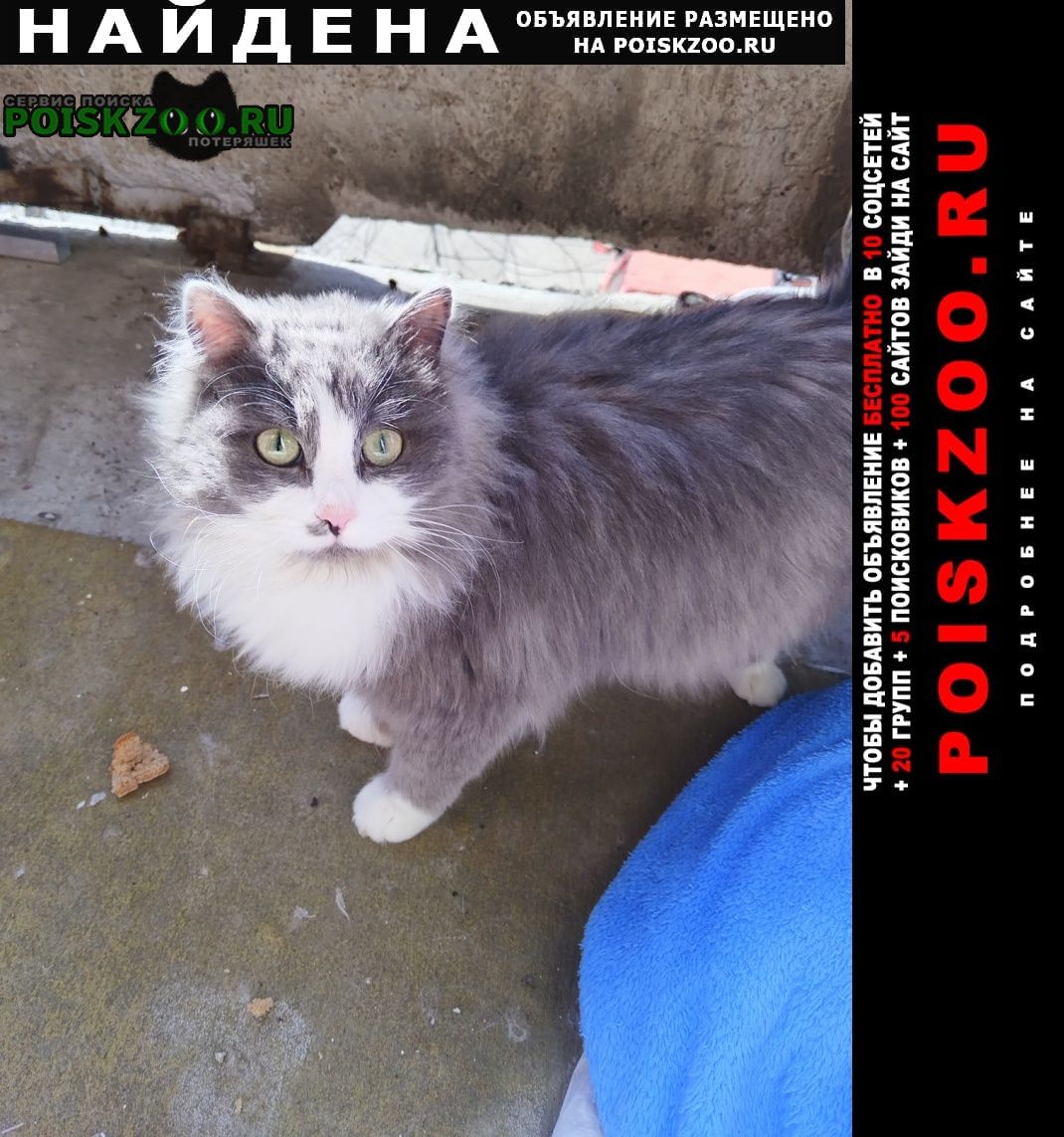 ���� ������ �����