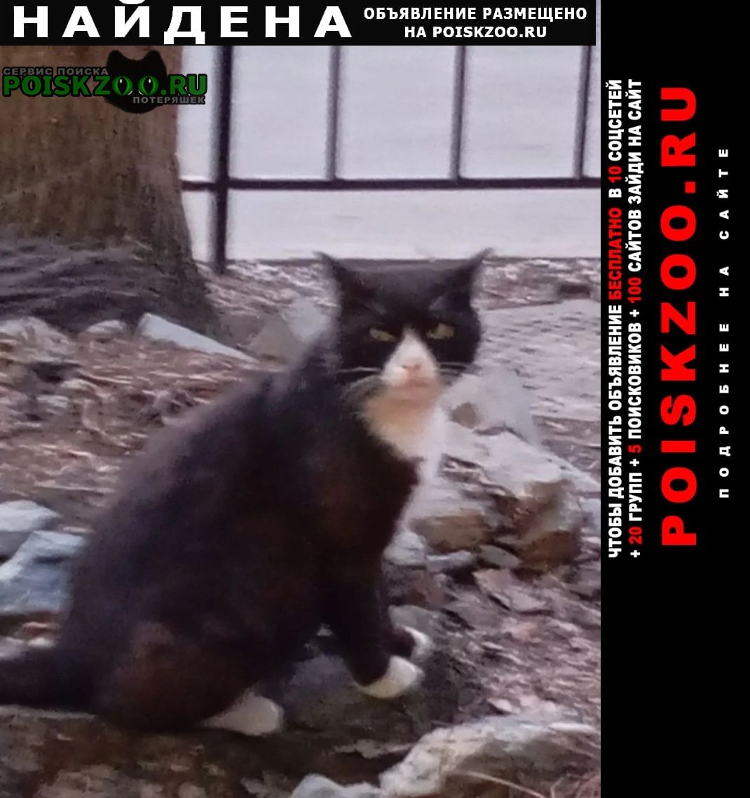 ���� ������ ���