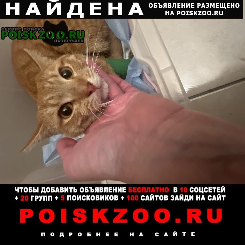 ���� ������ ��� ����� ���, ������������� � ������