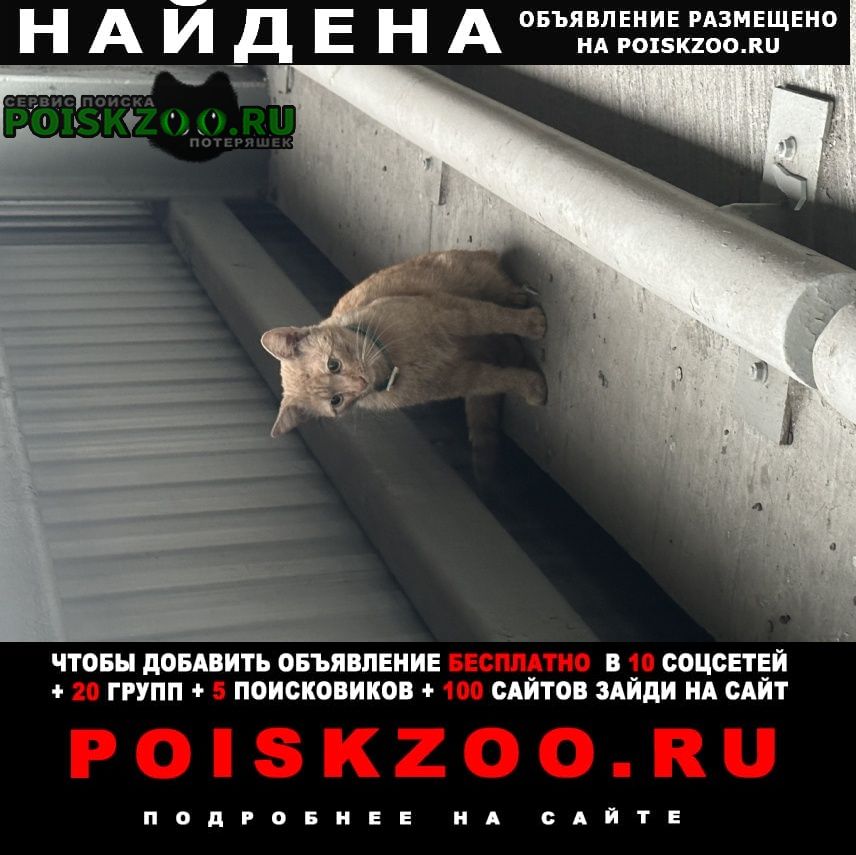 ���� �������� ����� ����� ��� � ������� ��������