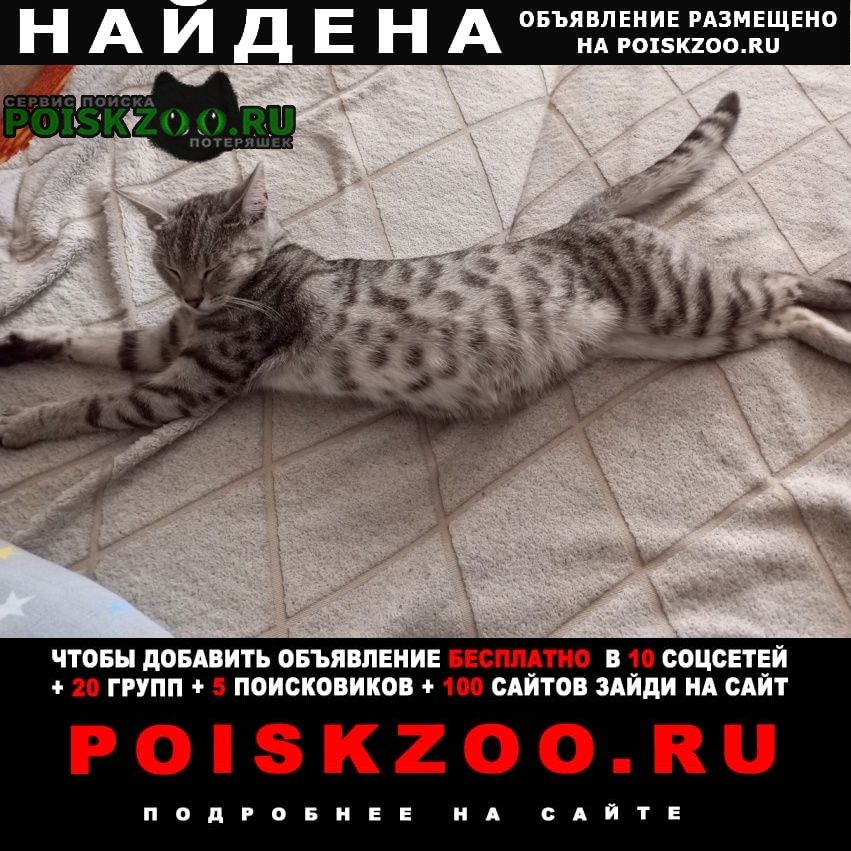 ���� ������� ����� ����� �������� �������. ���������