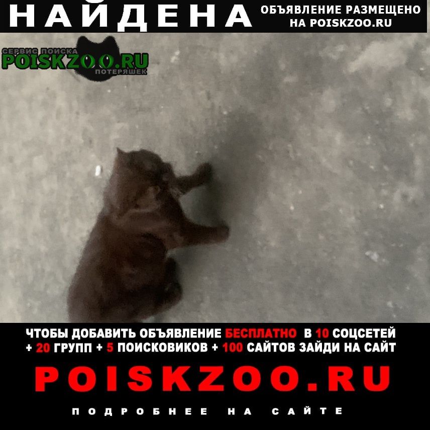���� �������� ����� �������� ���