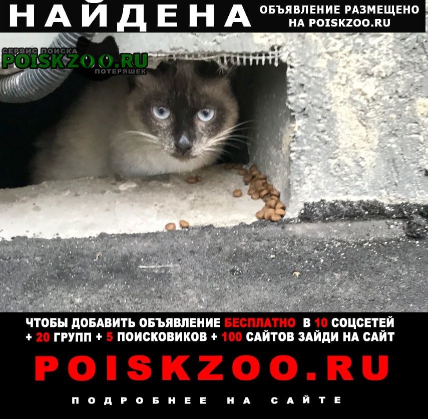 ���� ������ ��� �������� ����������� �����