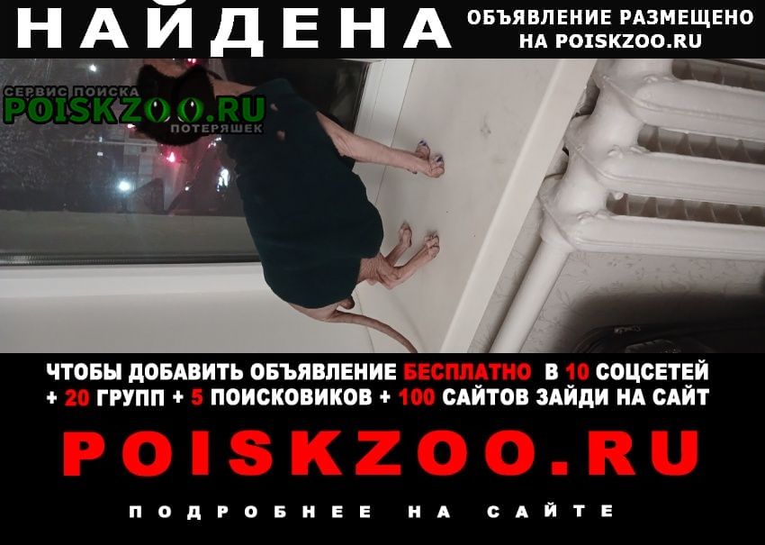 ���� �������� ����� ������