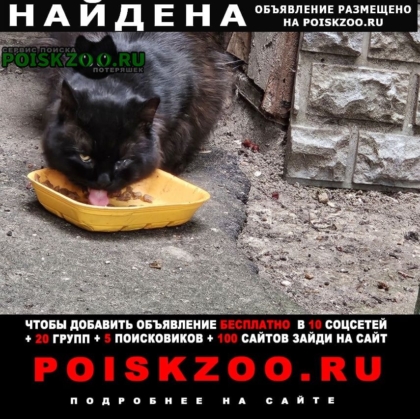 ���� ������� ����� � ������� ��������