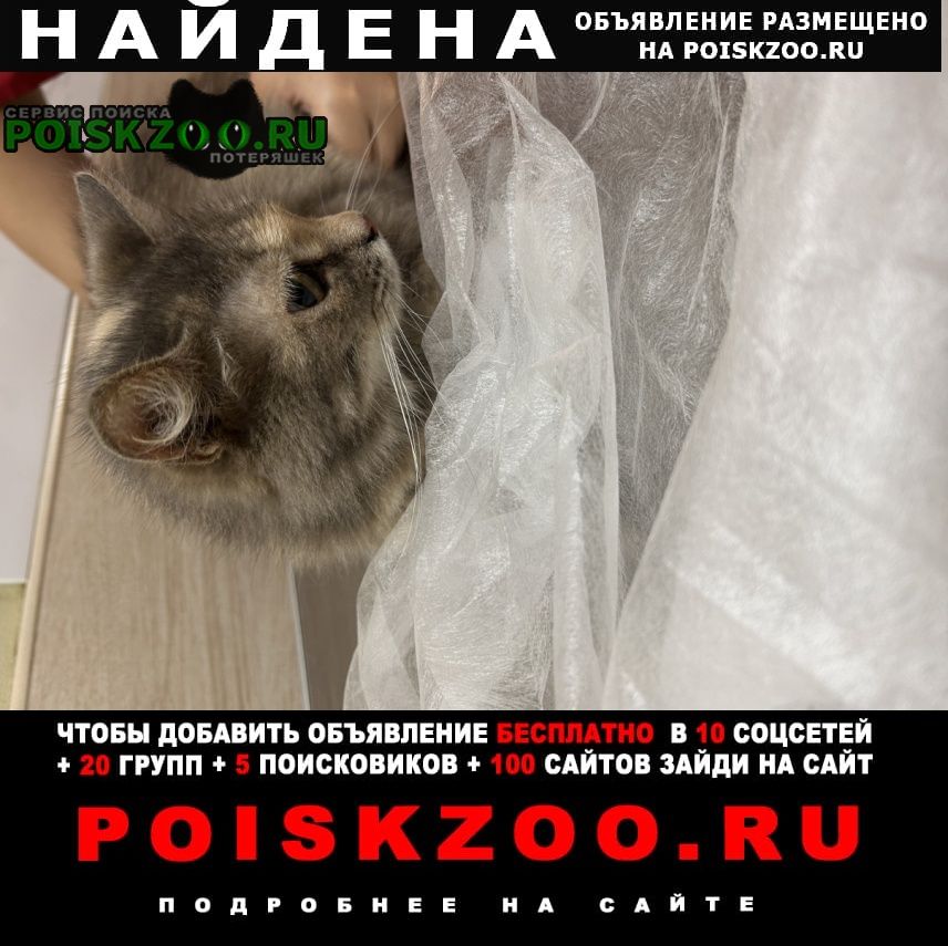 ���� ������� ����� ����������