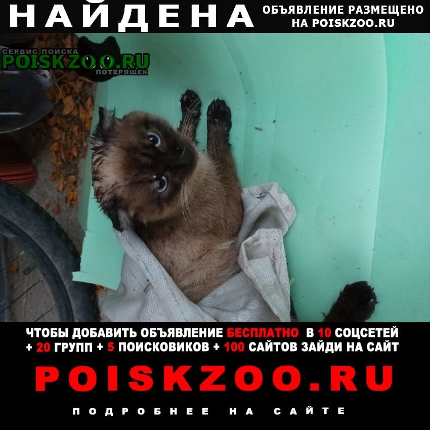 ���� ������� �����