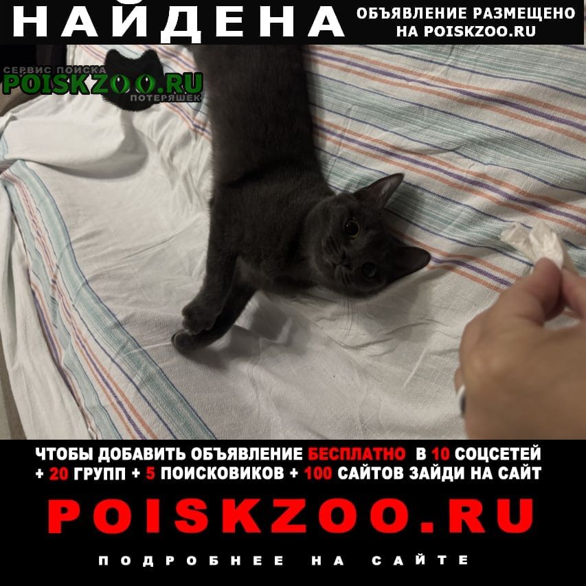 ���� ������� ����� ������� ������� ���� �����