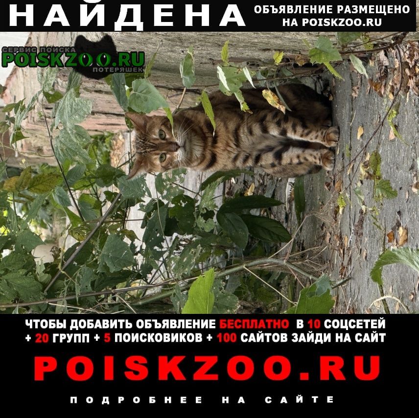 ���� ������� ����� ����������� �����