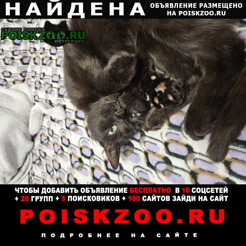 ���� ������� ����� ������, ������ ������