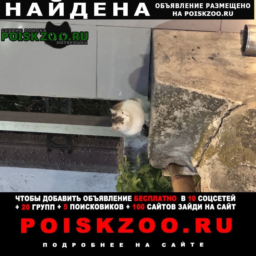 ���� ������� �����