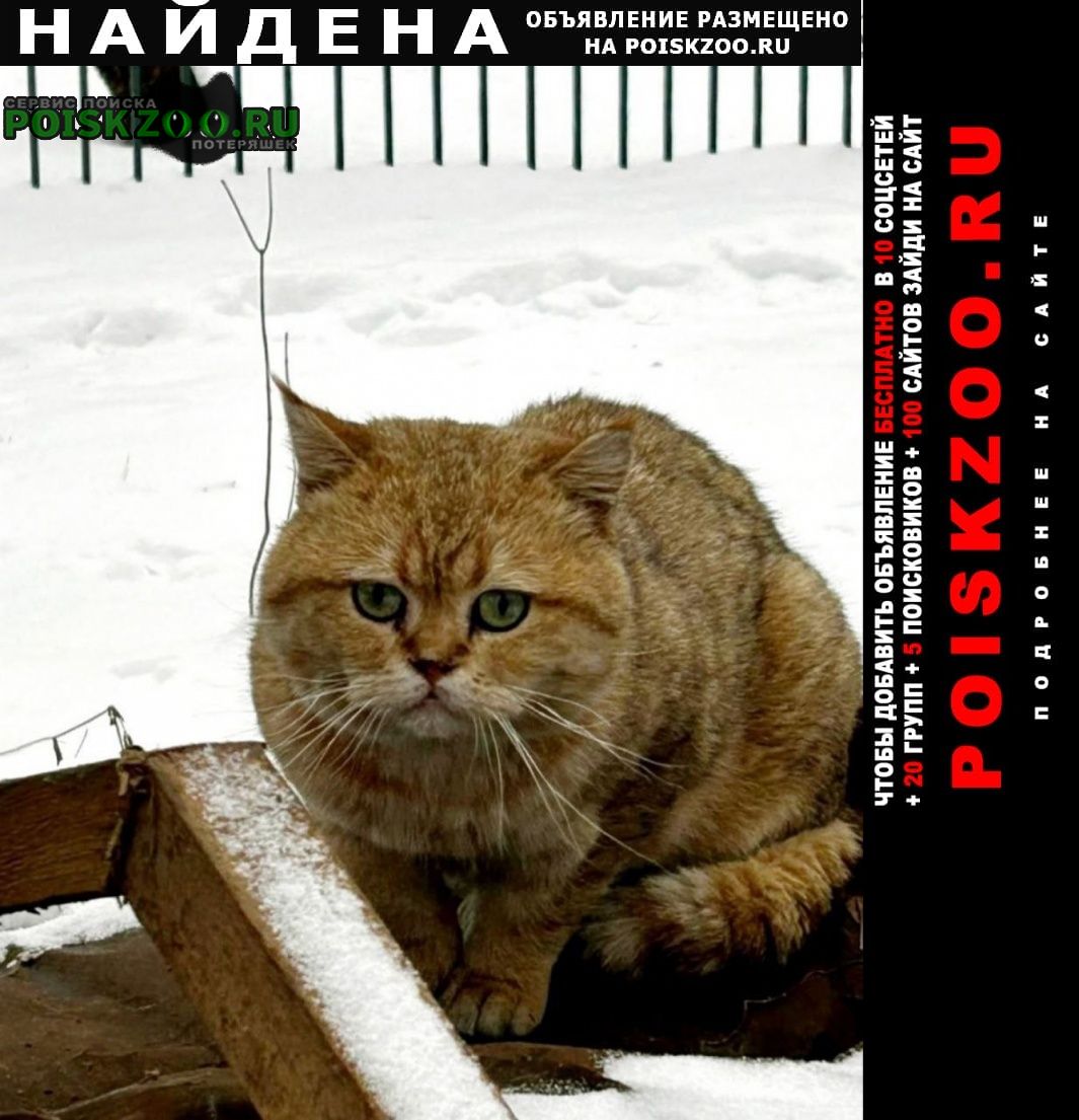 ���� ������� ����� ��. ��������. ������� ����� (��� �����)