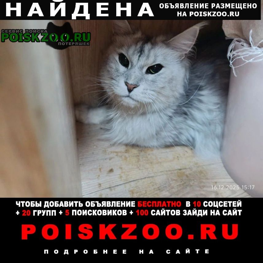 ���� ������� ����� ��� ����-���