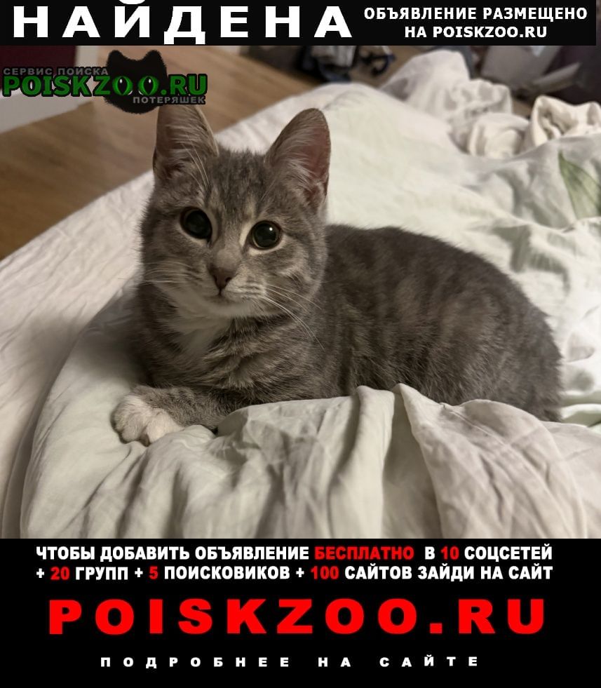 ���� ������� ����� � ��������� 14 ������