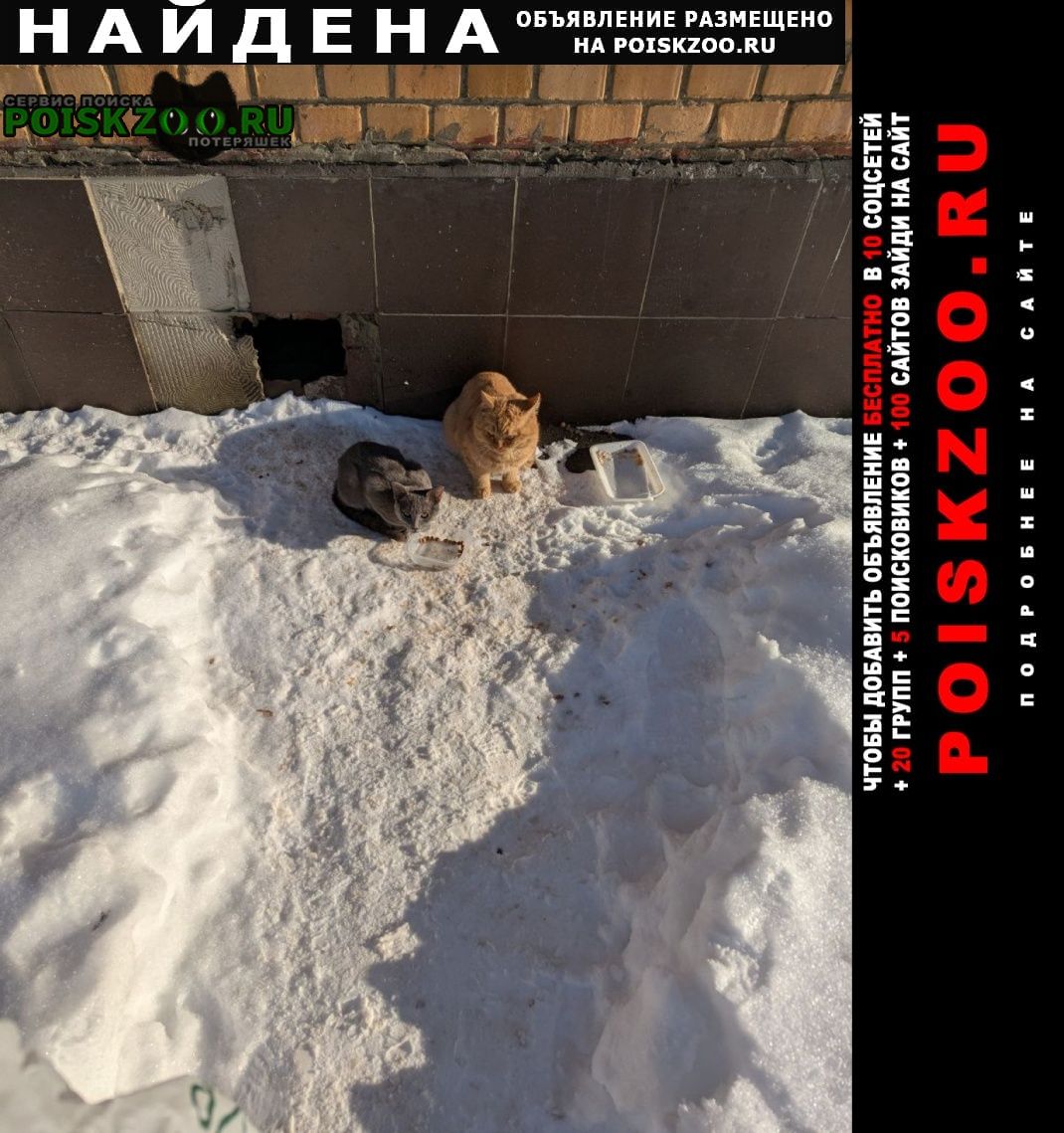 ���� ������ ���