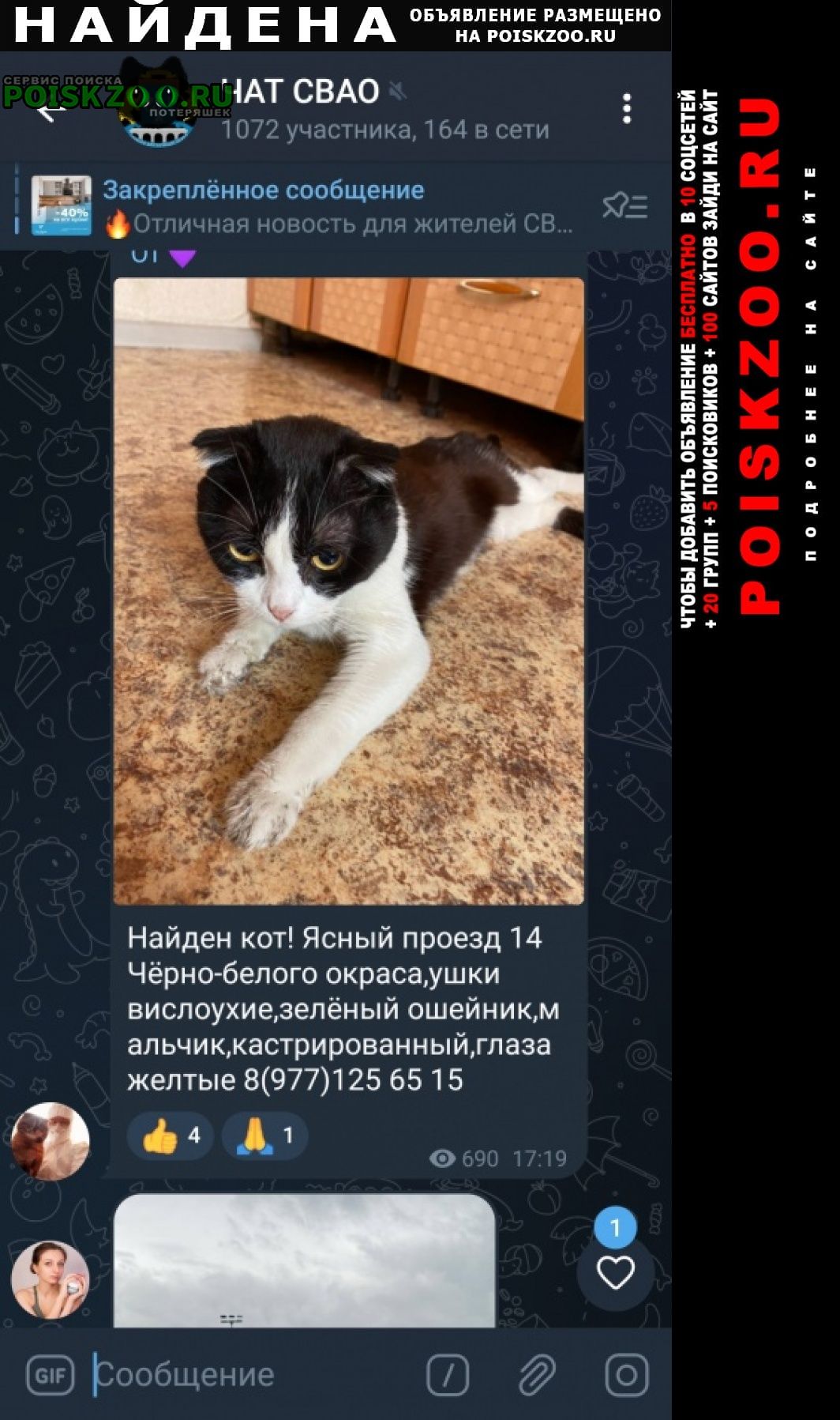 Найден кот кто потерял Москва