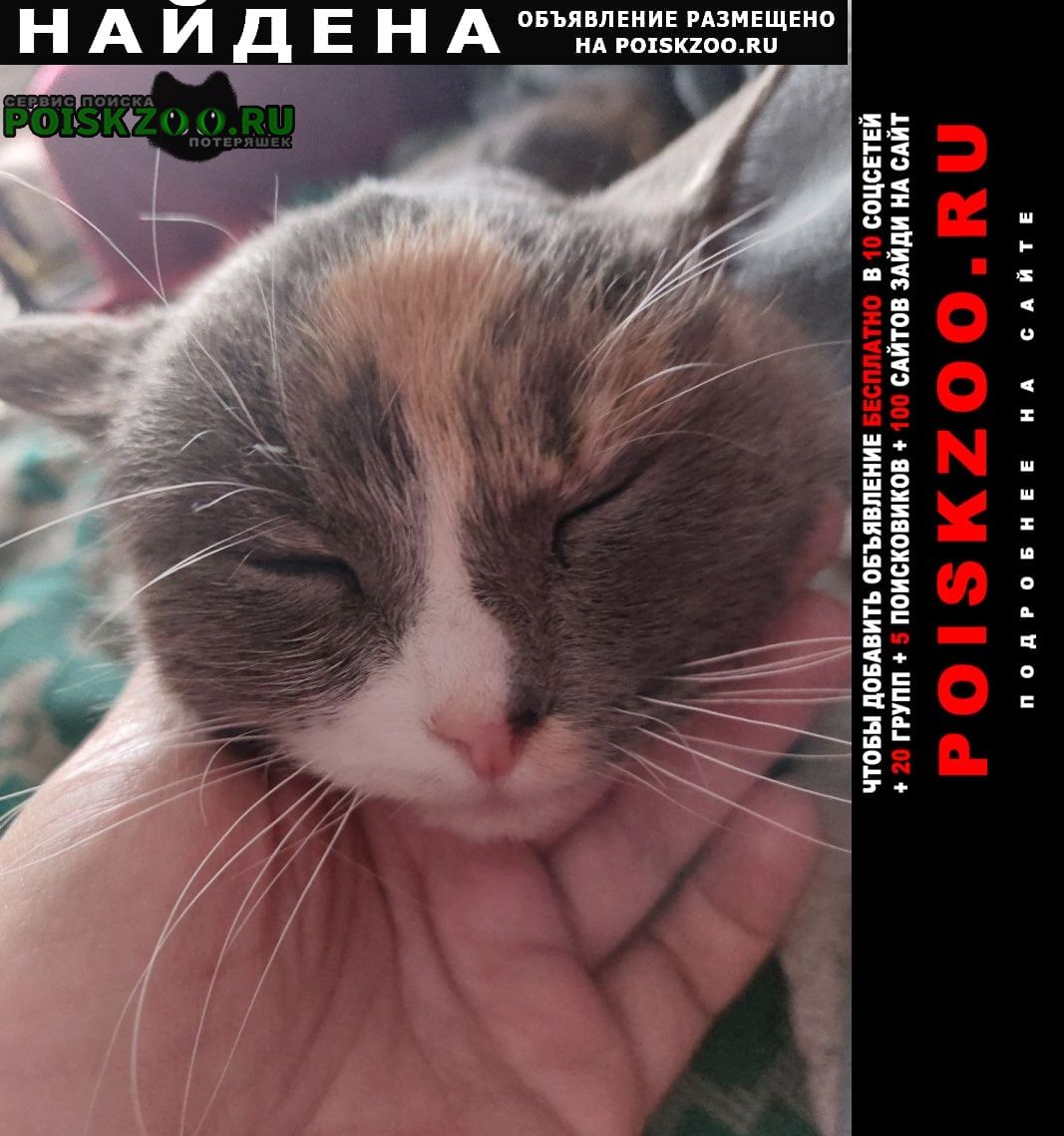 ���� ������� ����� ����������