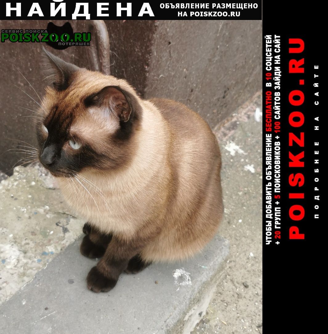 Найден кот метро отрадное ик Москва