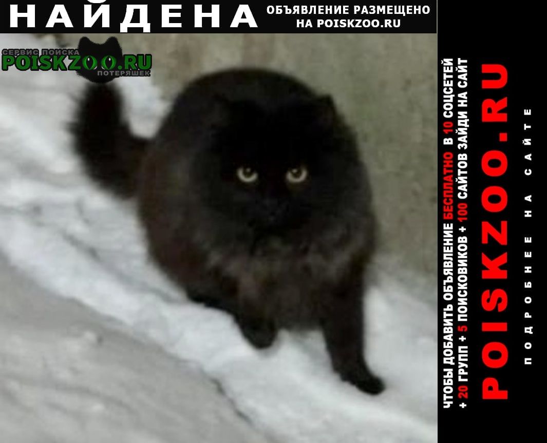 Найдена кошка или кот чёрный пушистый Серпухов
