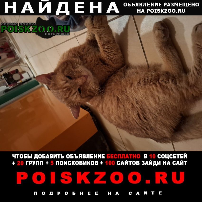 ���� ������ ���, �����, �� ��������������