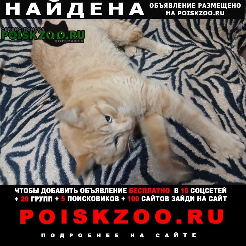 ���� ������ ��� �����