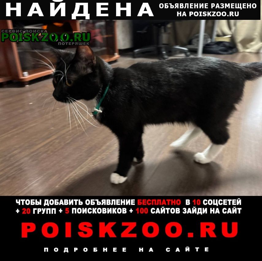 ���� ������ ��� �����-����� ��� � ������������