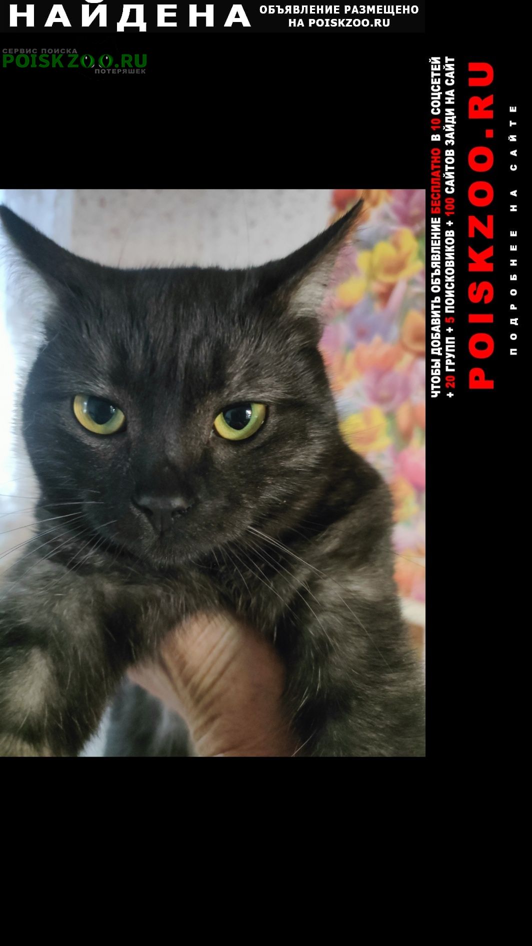 ���� ������ ��� ������� �����, �� ����.