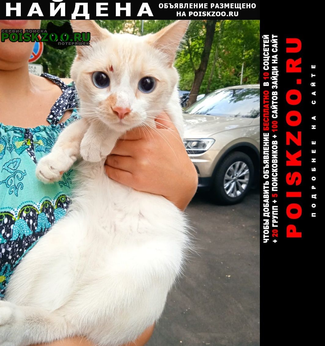 Найден кот с голубыми глазами и бело-рыжеватым Москва