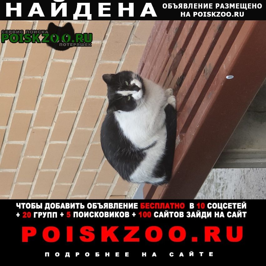 ���� ������� ����� ��� ��� ����� ������������� 12