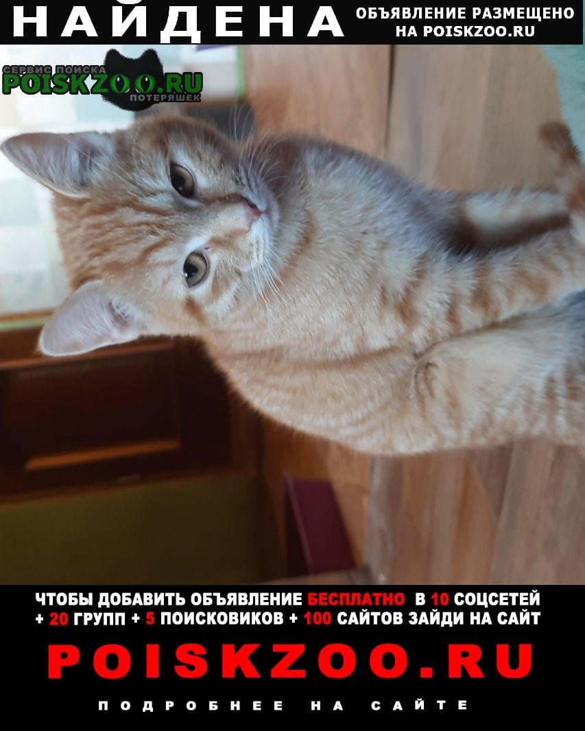 ���� ������ ��� � ��������