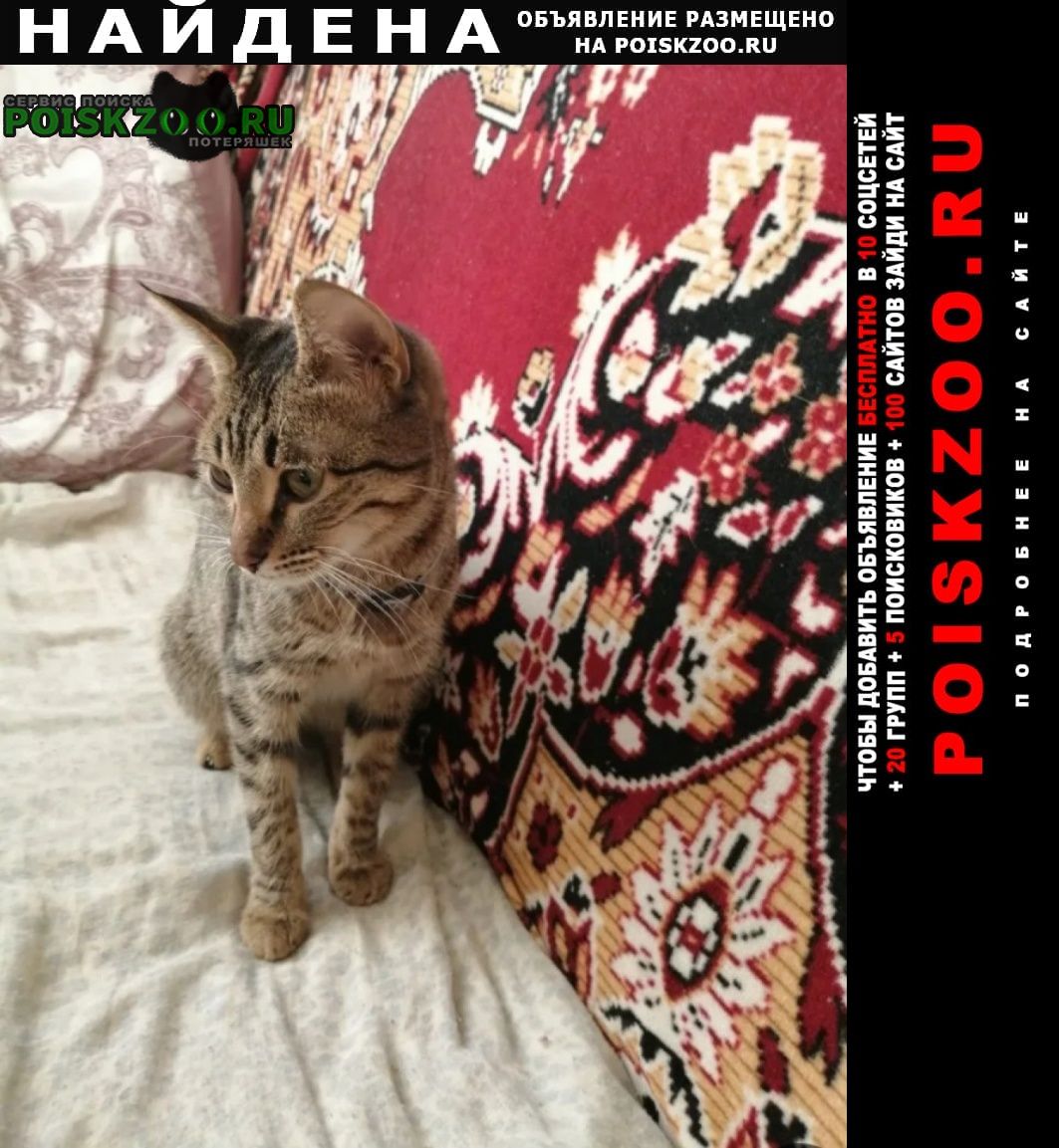 ���� ������� ����� ���������