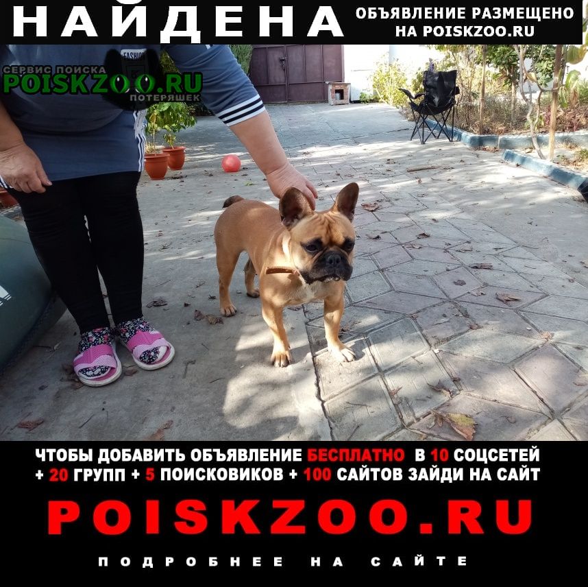 Найдена собака кобель в керчи в районе строй городка Керчь