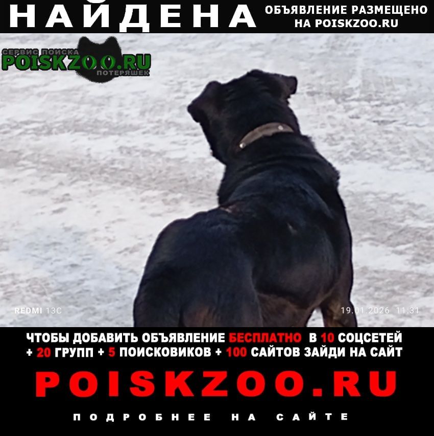 ���� ������� ������ ���������� ������