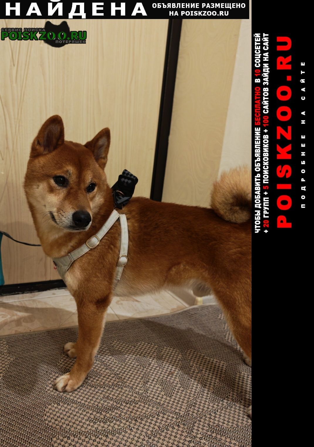 ���� ������� ������ ������ ���� ��� ������